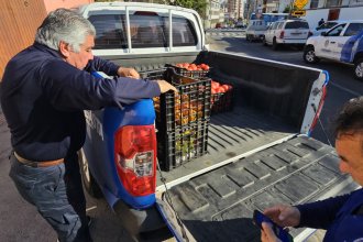 WhatsApp Image 2025-07-04 at 15.52.47.jpeg